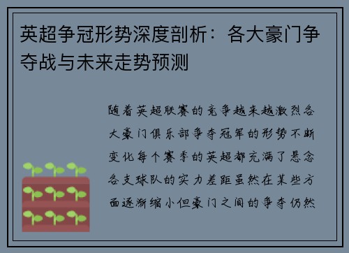 英超争冠形势深度剖析：各大豪门争夺战与未来走势预测